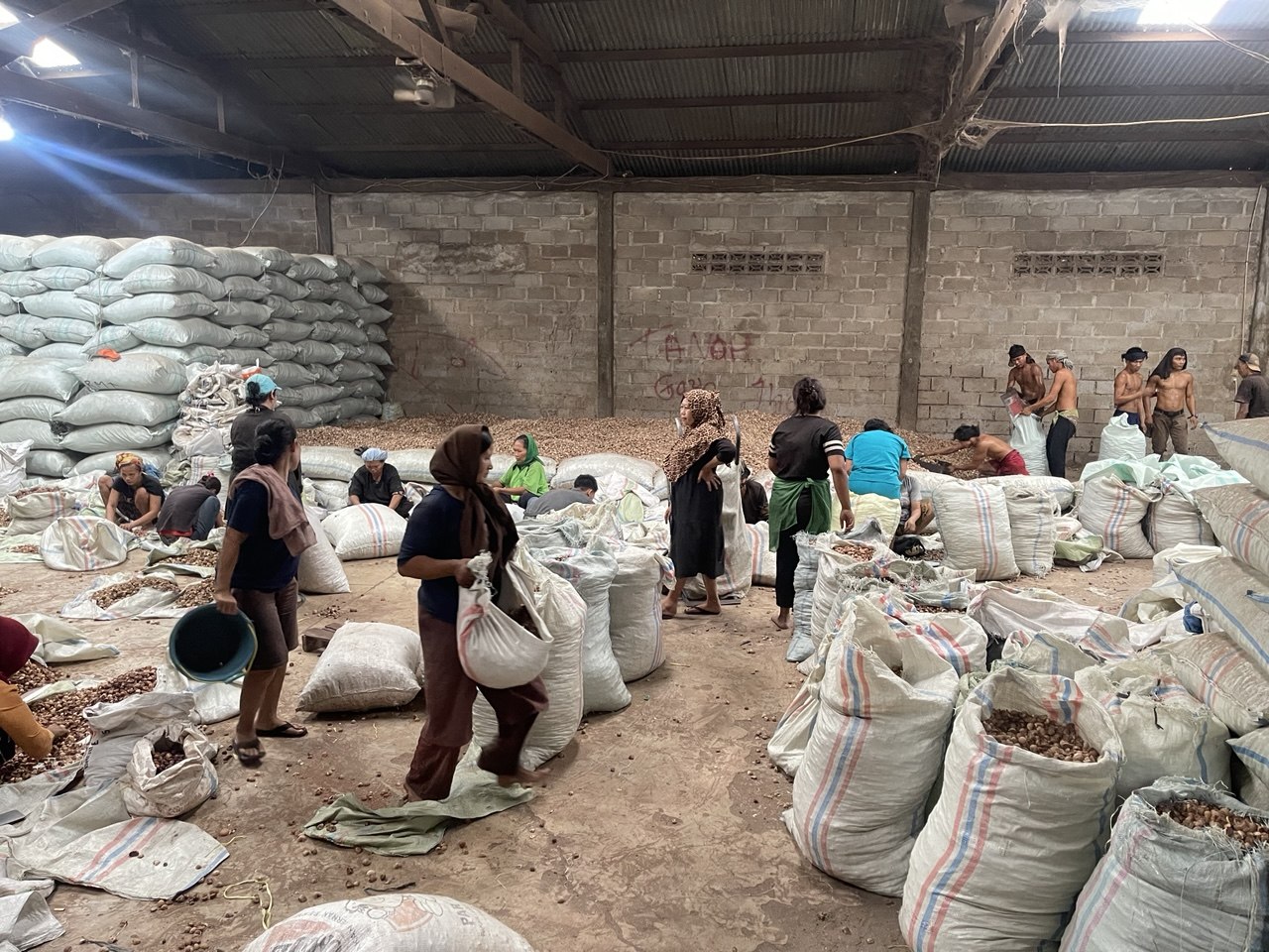 Why Choose Indonesian Betel Nut Supplier